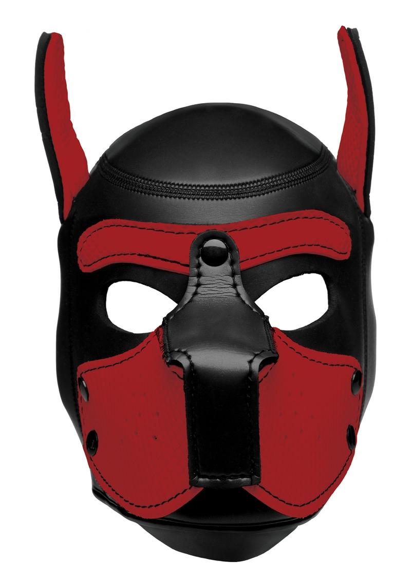 BDSM Intimates
