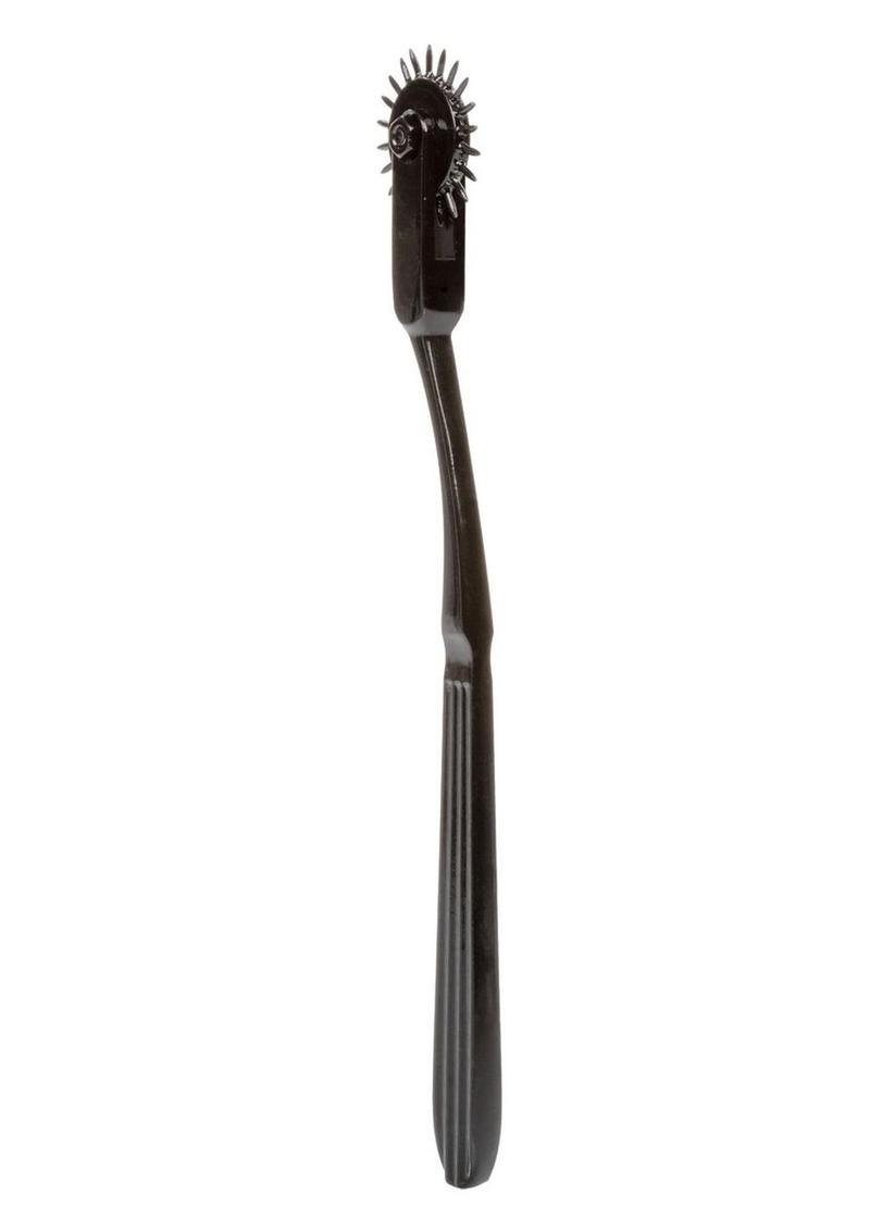 Boundless Pinwheel 22 Point Nickle-Free Alloy